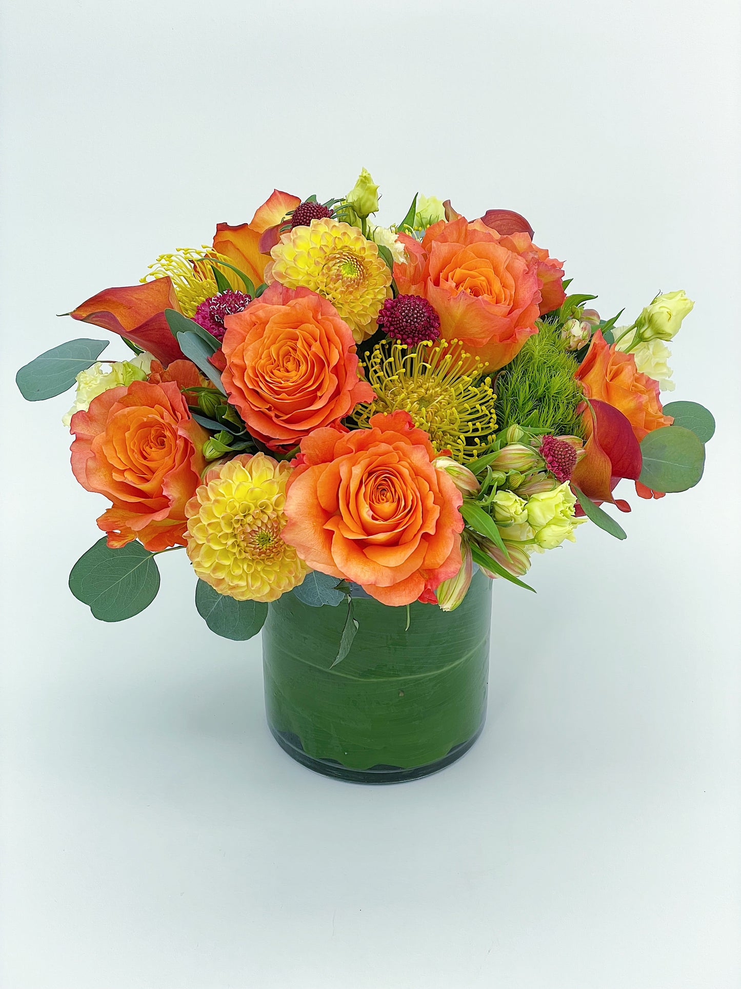 Designer's Choice: Vibrant