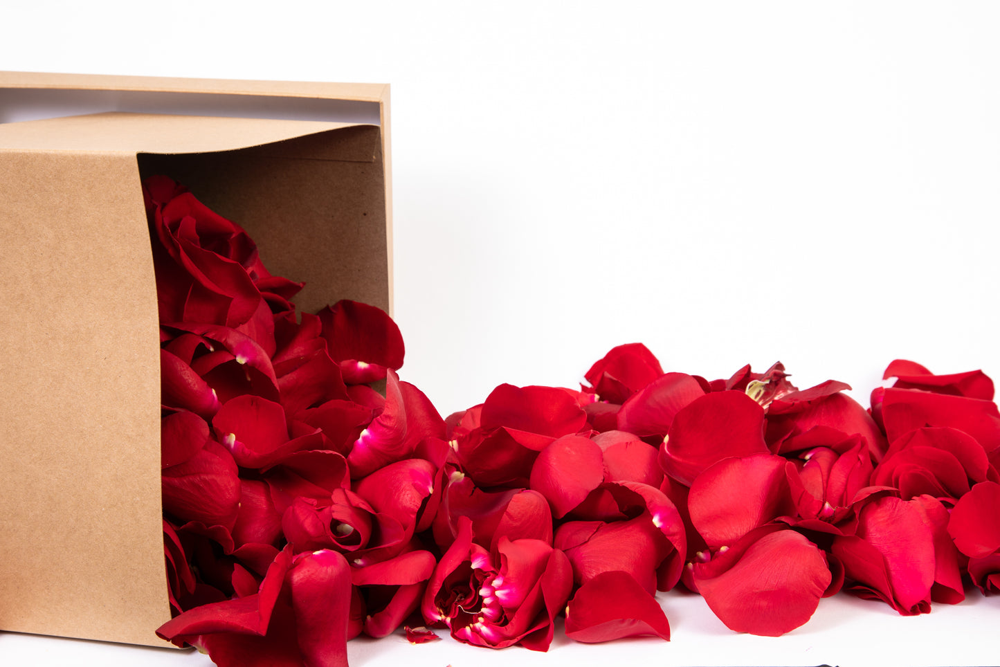 Luxury Romance Package