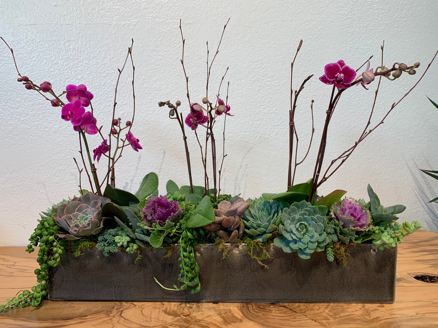 This beautiful garden contains three purple Phalaenopsis with succulents in different shapes and sizes in the front.