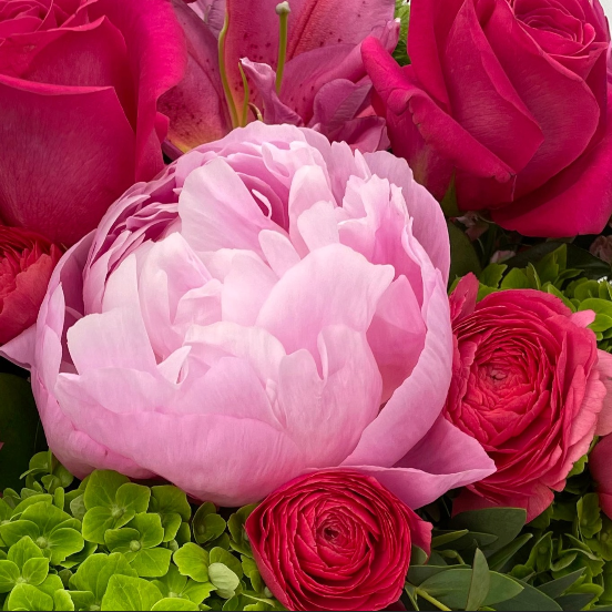 Premium Arrangement - Designer's Choice