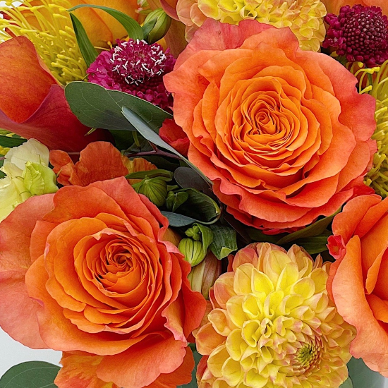 Luxury Arrangement - Designer's Choice