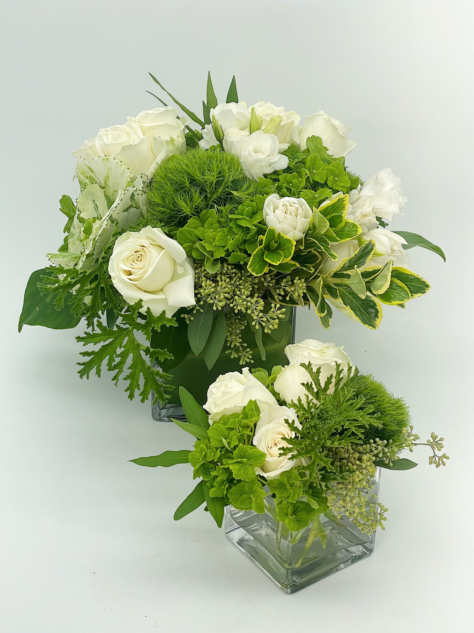 Designer's Choice: Classic White