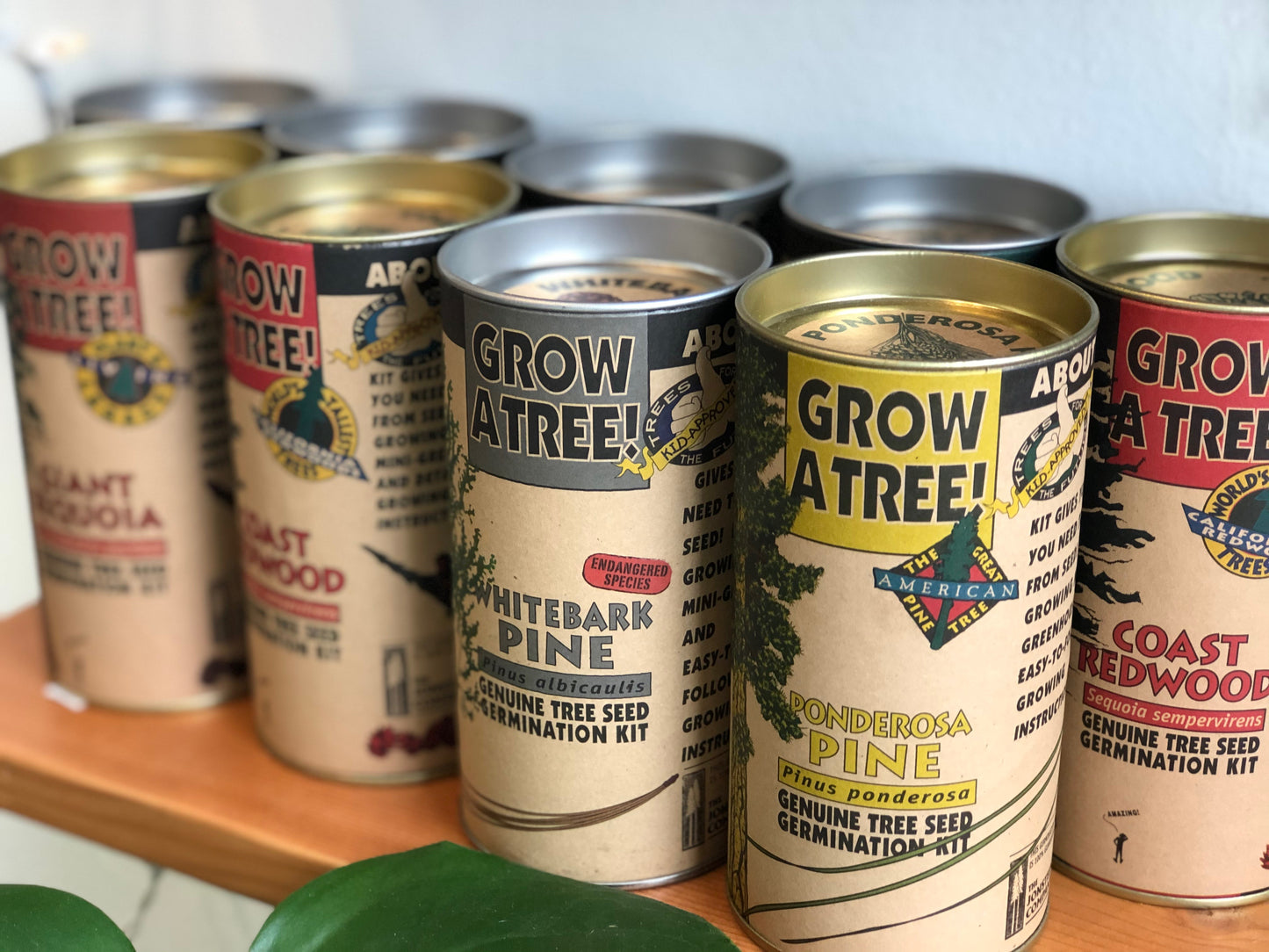 GROW A TREE!