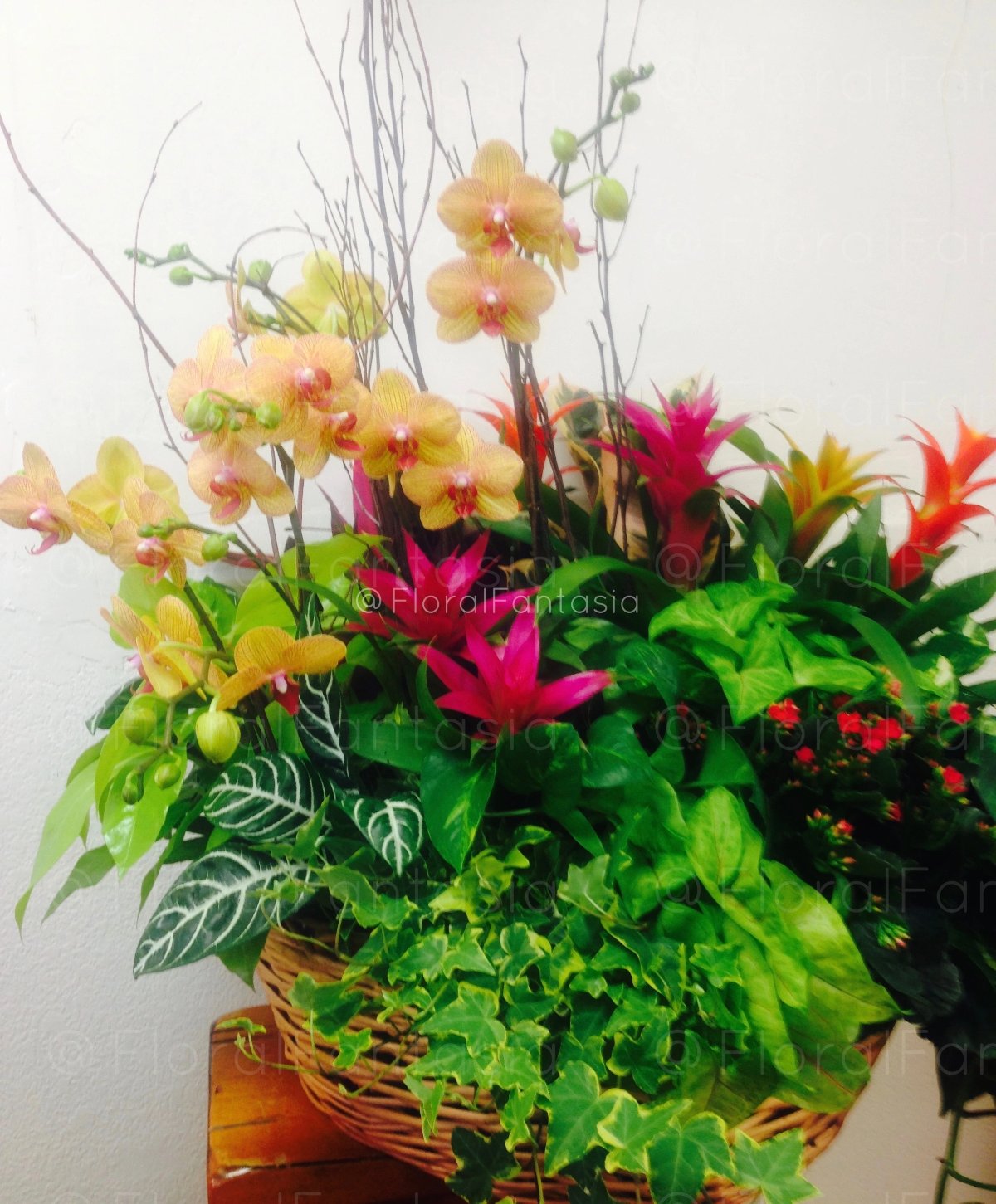 Assorted green and blooming plants, planted together in a basket or wood container. Deluxe gardens include Orchids.